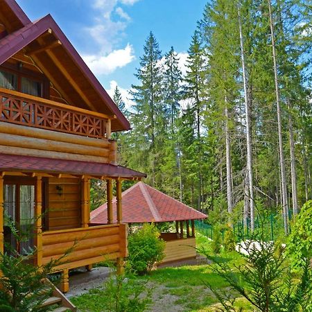 Knyazhyi Dvir Apartment Strigalnya Екстериор снимка